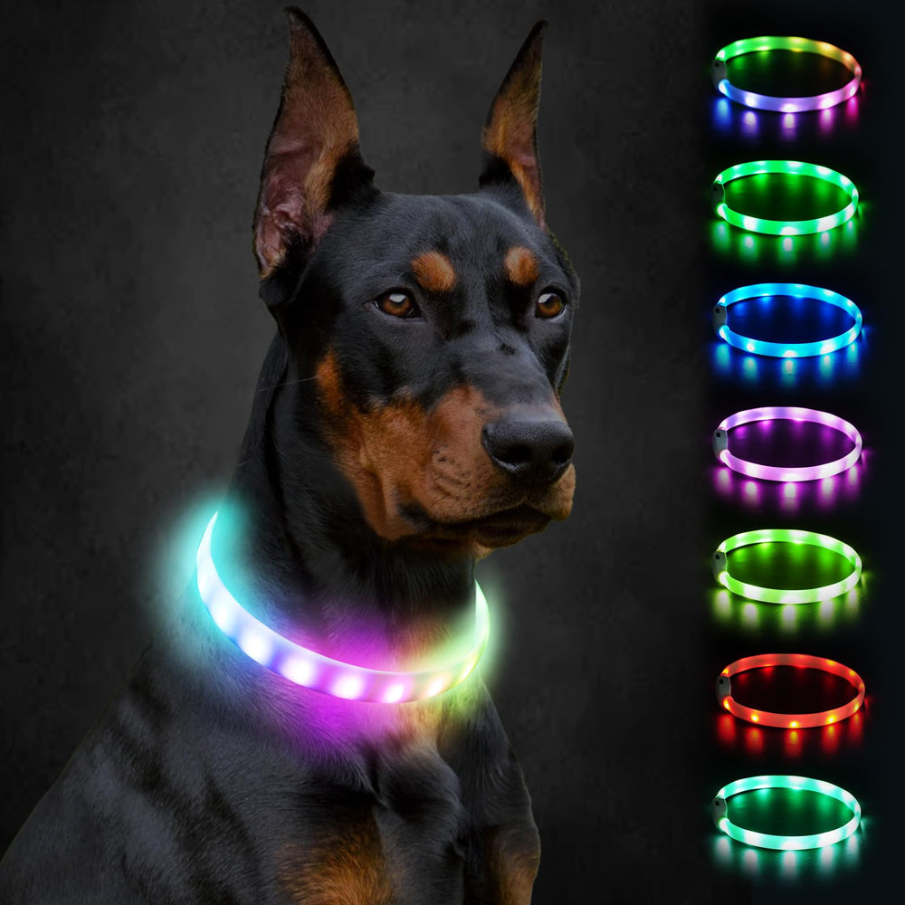 Collar Joytale con luz LED, alta visibilidad para paseos nocturnos seguros.