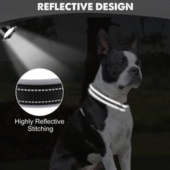 Collar Joytale ligero y resistente para perros activos.