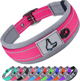 Collar Joytale para perro con neopreno acolchado y confort diario.
