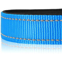 Joytale collar nylon ligero permite movimiento suave y cómodo todo el día.