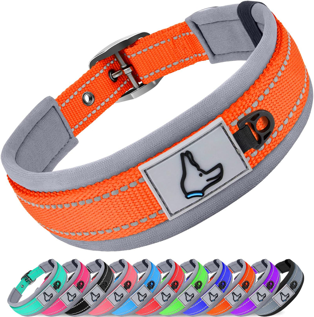 Collar Joytale para perro pequeño con neopreno acolchado, cómodo para paseos diarios.