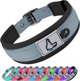 Collar Joytale para perros pequeños con acolchado de neopreno para comodidad y absorción de tirones.