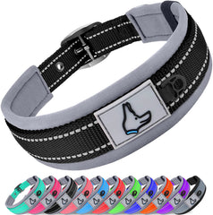 Collar Joytale para perro pequeño con neopreno acolchado, cómodo para paseos diarios.