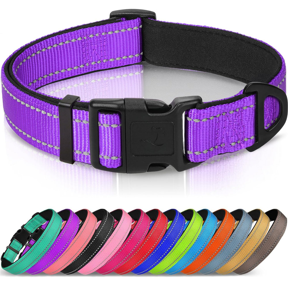 Collar Joytale reflectante de neopreno morado para alta visibilidad nocturna.