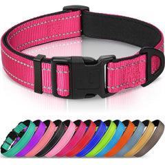 Collar Joytale reflectivo con neopreno suave para mayor visibilidad nocturna y comodidad.