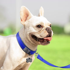 Hebilla de metal resistente de Joytale para perros activos.
