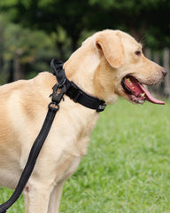 Joytale collar táctico con hebilla-zinc y ajuste duradero para perros grandes.