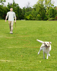 Joytale correa de 50 ft ideal para entrenamiento y actividades al aire libre.