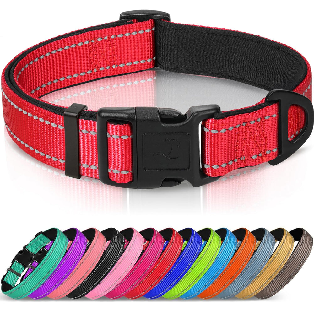 Joytale: correa reflectiva para perros con neopreno, mayor visibilidad nocturna