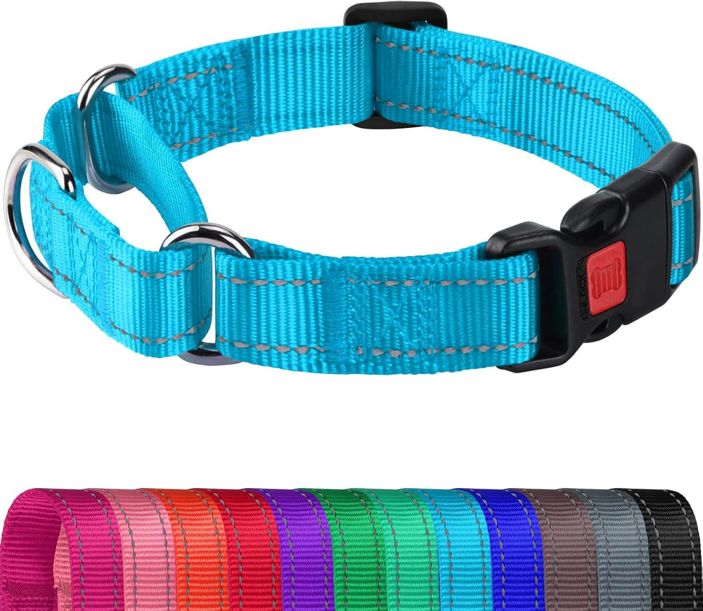 Joytale martingala: collar reflectante azul cielo para paseos nocturnos seguros.