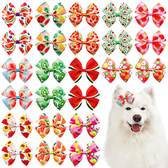 Lazo JpGdn para perro con diseño de sandia, perfecto para sesiones de fotos alegres.
