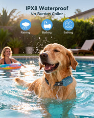 Perro entrenando bajo lluvia con el collar IPX7 Jugbow
