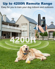 Collar Jugbow con IPX7, resistente al agua para cualquier clima.