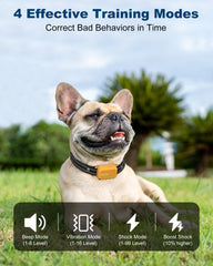 Control remoto Jugbow con dos canales para entrenar dos perros a la vez
