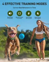 Control remoto Jugbow con dos canales para entrenar dos perros