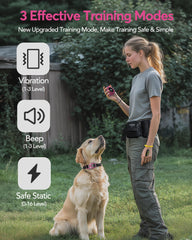 Mando remoto Jugbow de doble canal facilita entrenar dos perros