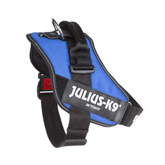 Arnés Julius-K9 IDC con hebillas resistentes al frío para uso invernal.