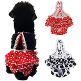 JUOMIIEL pañales para perros, ajuste-cintura cómodo y lavable para razas pequeñas.