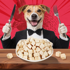 Just Try premios de pollo liofilizado para perros y gatos.