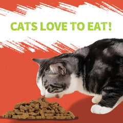 Just Try tarro-hermetico-premios-gato: envase práctico para conservar la frescura.