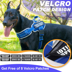JUSTYEZI arnés sin tirones, diseño duradero para perros activos