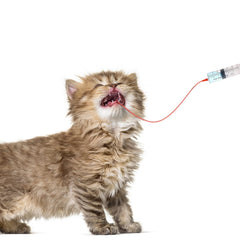 Jeringa Jutom para gatito de 20 ml, uso cómodo y controlado.