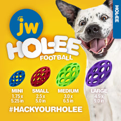 JW Hol-ee perfecto para interiores y exteriores; rebote irregular para buscar