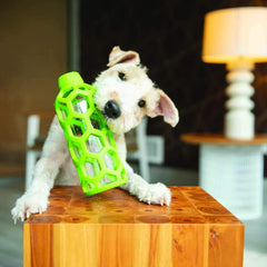 JW Pet Hol-ee Bottle: interior con botella plástica para juego continuo.