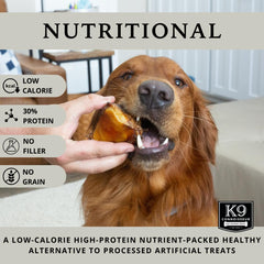 K9 Connoisseur hueso duradero para masticación prolongada