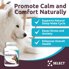 Pastillas de melatonina 6 mg de K9 Select para dormir mejor en perros grandes.