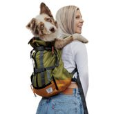 K9 Sport Sack Urban 3, grande-hojas-verdes: transporte cómodo para paseos urbanos con perro