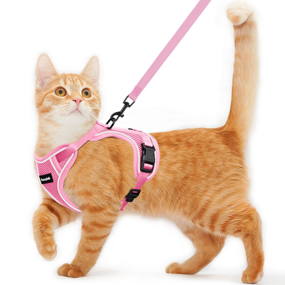 Arnés Kaazylab para gato puesto durante paseo cómodo y seguro