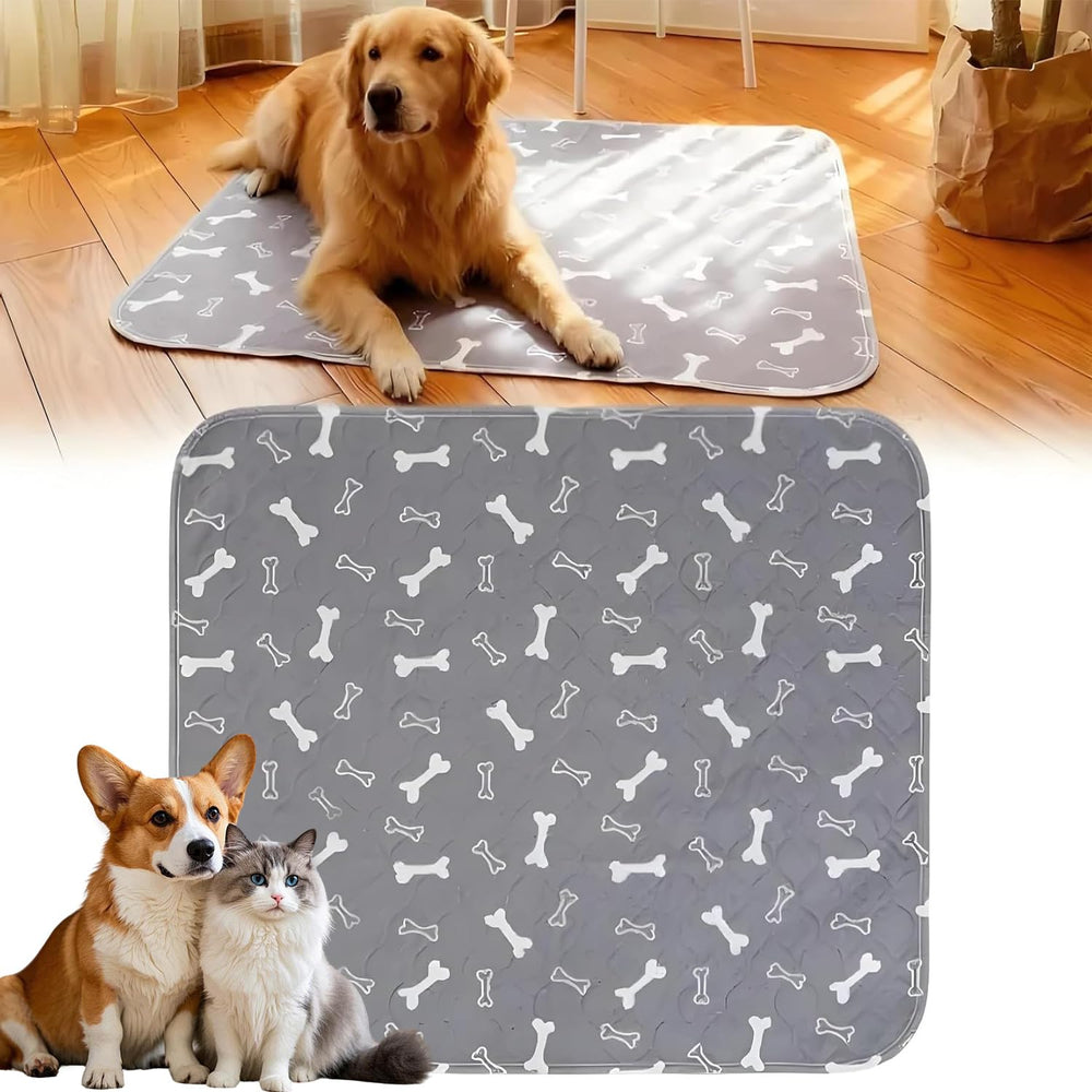 Kacitalone: Almohadillas-cachorros-feromonas gris XL para entrenamiento seco