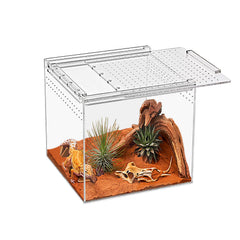 KAKOOTI terrario para reptiles, vista frontal clara para observar mascotas fácilmente.