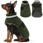 KAMA BRIDAL abrigo para perro, invierno acolchado, ideal para paseos fríos