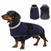 KAMA BRIDAL abrigo para perro azul oscuro, cálido y a prueba de viento.