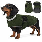 KAMA BRIDAL chaqueta para perro invierno verde, talla M, ideal para paseos.
