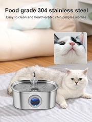 KANCHOU fuente para gatos con capacidad de 3,2 litros para largas jornadas.