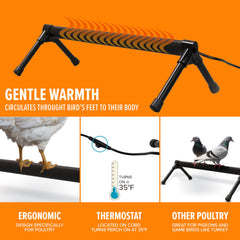 K&H Percha térmica para aves, diseño ergonómico para pollos.
