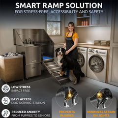 KANIS rampa desplegable para acceso seguro, ideal para perros grandes y mayores.