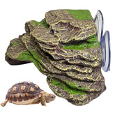 Kathson plataforma de tortuga flotante con escalera para ejercitar y tomar el sol