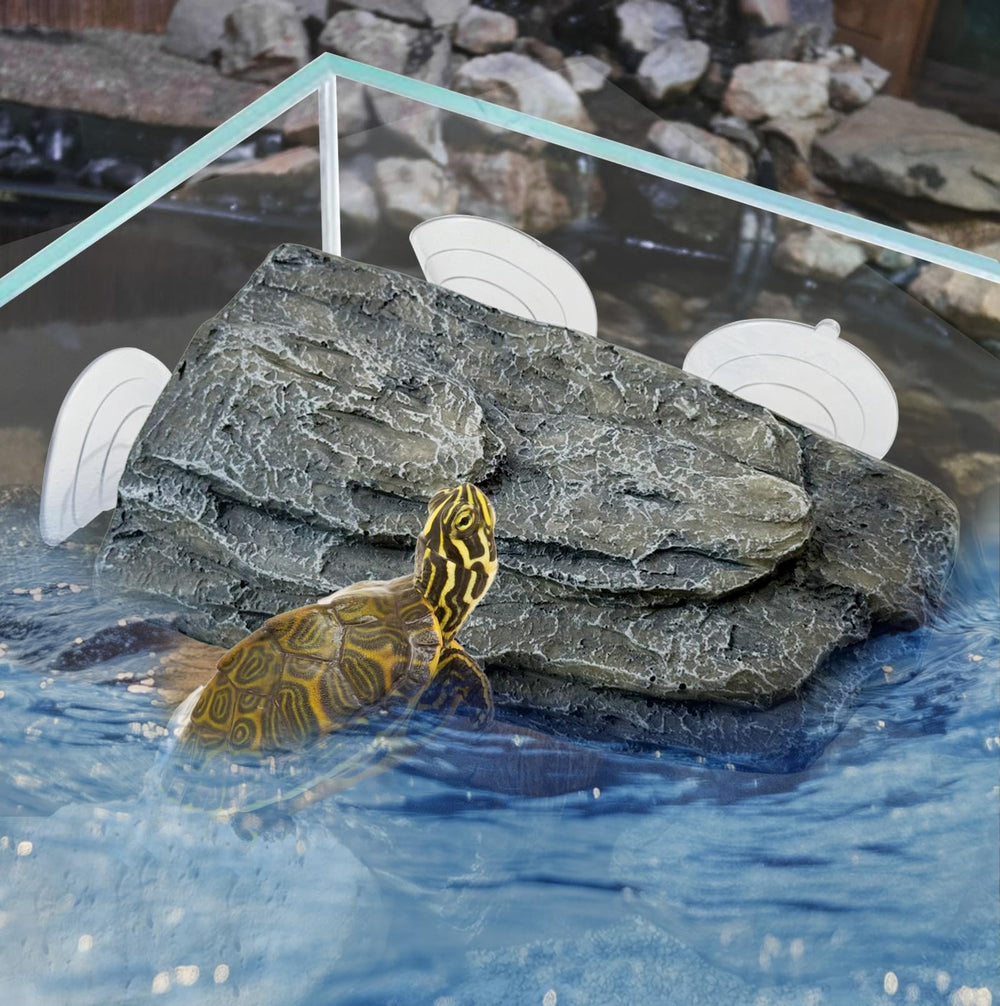 Plataforma kathson para tortuga tomar sol en acuario, seguro y cómodo.