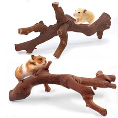 Kathson rama-escalada en madera para hámster, ideal para ejercitarse y explorar.