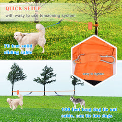 Sistema Trolley KATOLK para dos perros, fácil de montar en camping