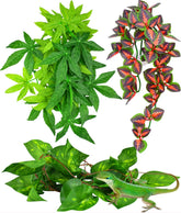 KATUMO plantas colgantes para reptiles con ventosa roja, decoración segura para terrario.