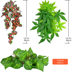 KATUMO plantas colgantes verdes con ventosa verde, ideal para esconderse y trepar.
