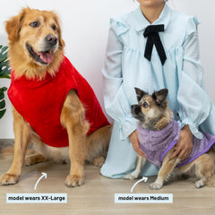KAYCOWZA Cazadora para perro frío ajuste con cordón para mayor comodidad