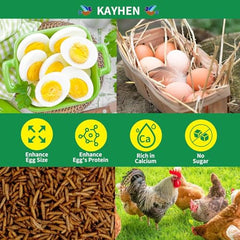 KAYHEN larvas desecadas aportan proteína de alta calidad para crecimiento