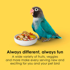 Kaytee Fiesta: bocados-grandes-aves-pico-grande, diseñado para aves de pico grande con sabor premium