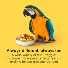 Kaytee Fiesta Macaw Food con texturas y formas divertidas para mantener al ave interesada